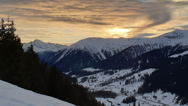 Seven Years of Climate Action Davos Codes